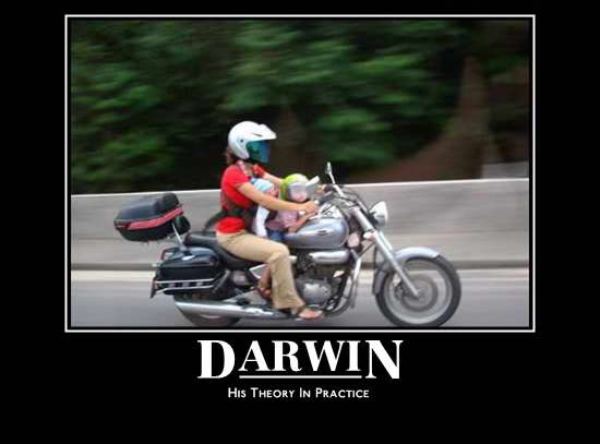 motivational-darwin